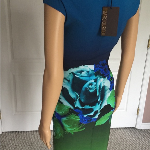 Roberto Cavalli Dress Size: 4 - Picture 6 of 9